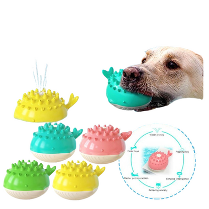 Pet water toy
