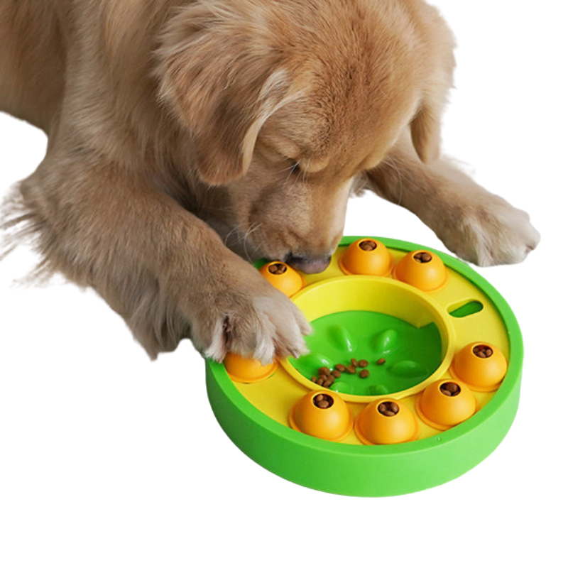 Toy bowls increase your pet's IQ