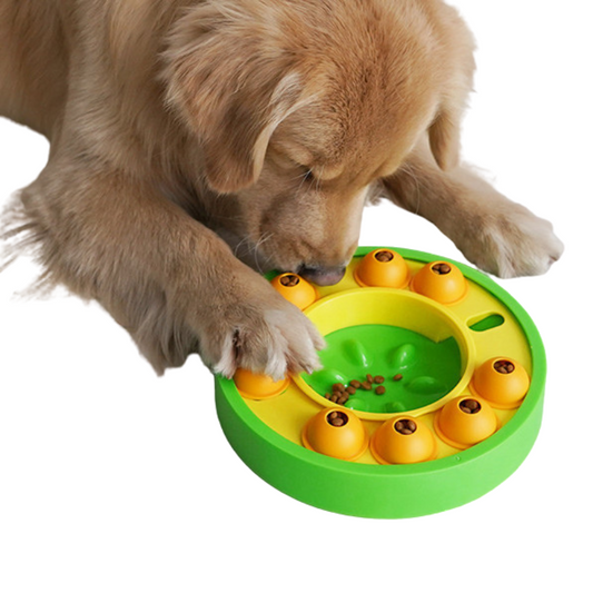 Toy bowls increase your pet's IQ