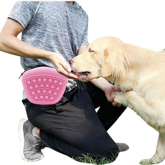 Silicone Dog Treat Pouch