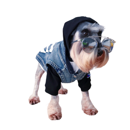 Personalized jean jacket for dogs