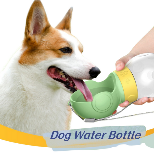 Dog Water Bottle