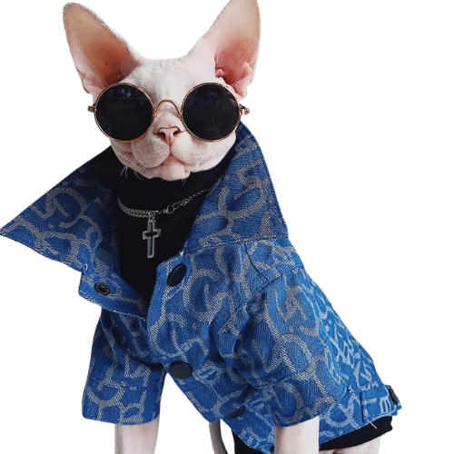 Denim Jacket Trendy Pet