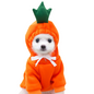 Adorable Autumn/Winter Outfit for Small Pets