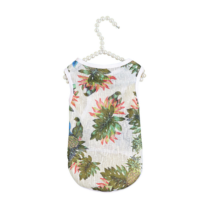 New Cat Clothes For Fall In Hawaii