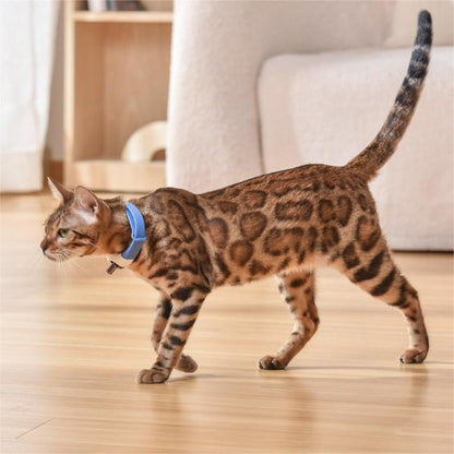 Pet Toy Laser Collar
