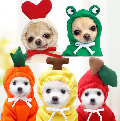 Adorable Autumn/Winter Outfit for Small Pets