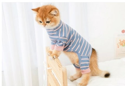 Clothes for Cats | British Shorthair Anti-Shed 4-Leg Outfit