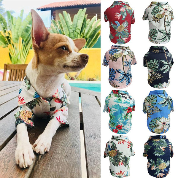 Comfortable summer shirt