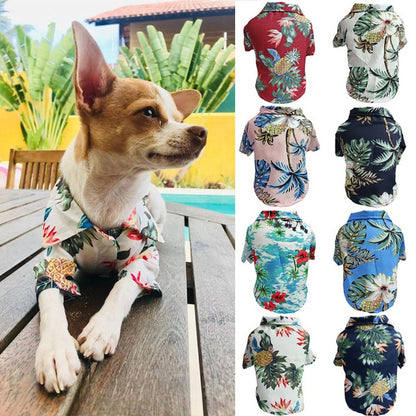 Comfortable summer shirt