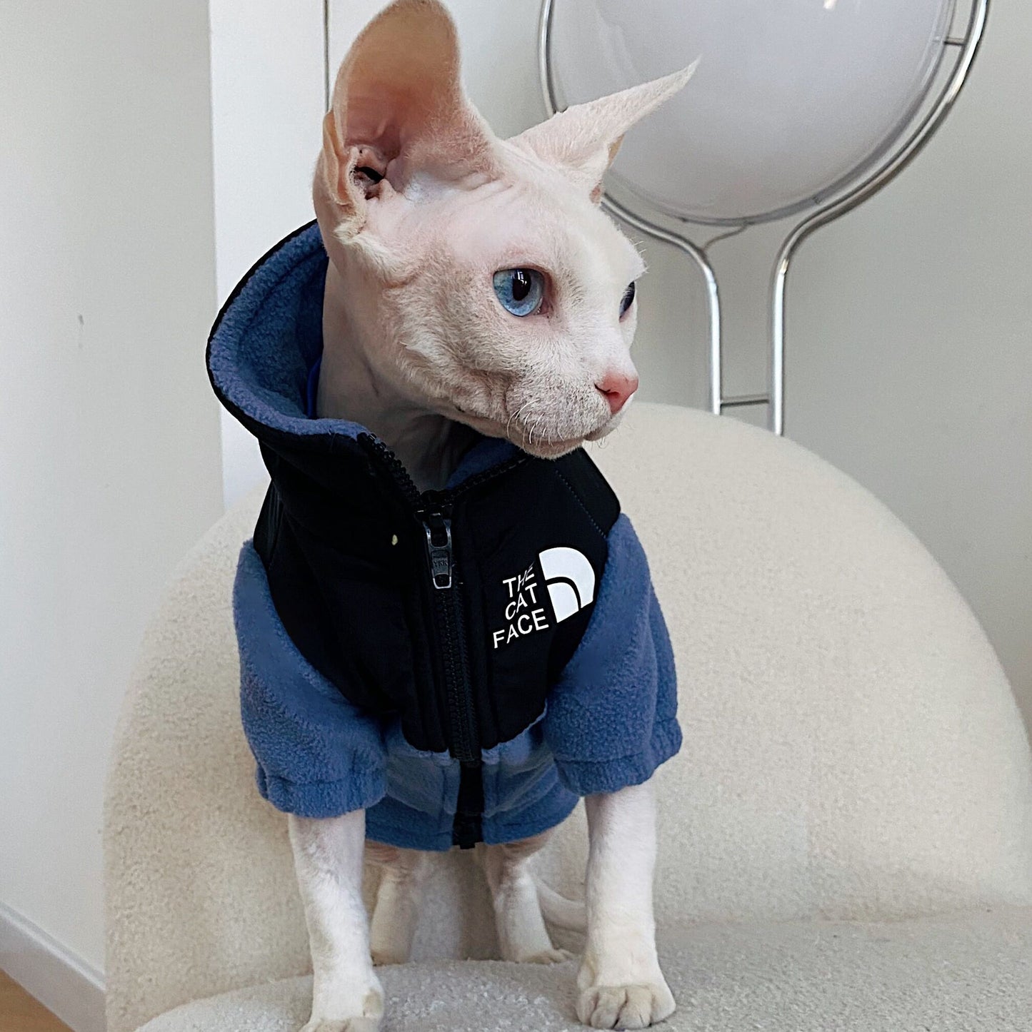 Clothes Warm Pet