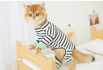 Clothes for Cats | British Shorthair Anti-Shed 4-Leg Outfit