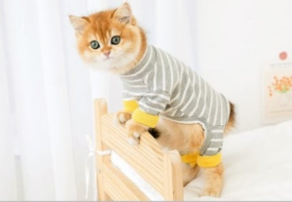 Clothes for Cats | British Shorthair Anti-Shed 4-Leg Outfit