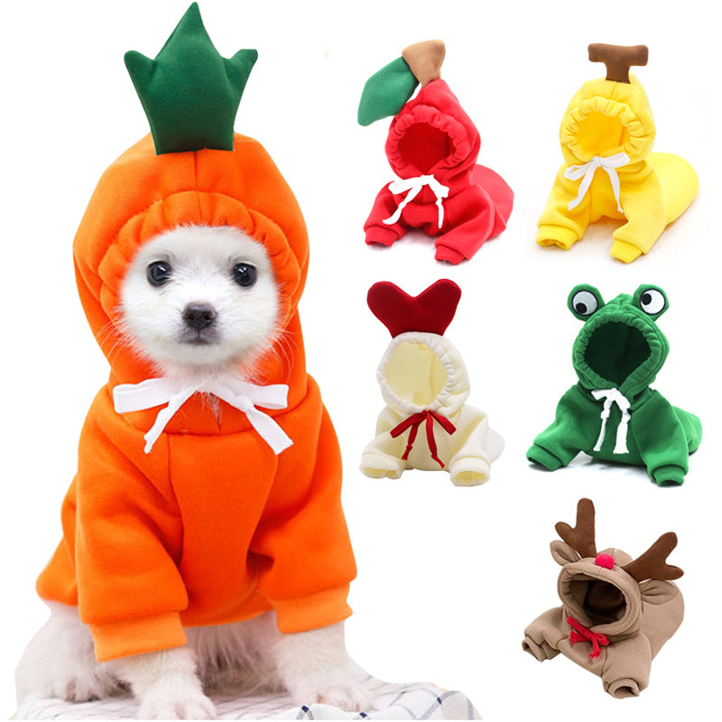 Adorable Autumn/Winter Outfit for Small Pets