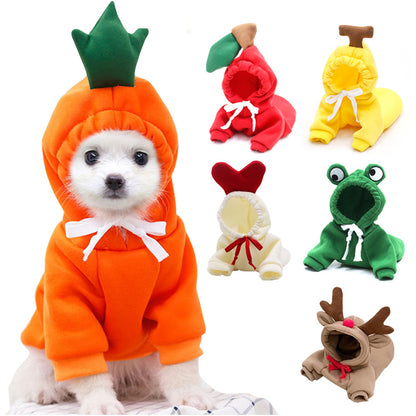 Adorable Autumn/Winter Outfit for Small Pets
