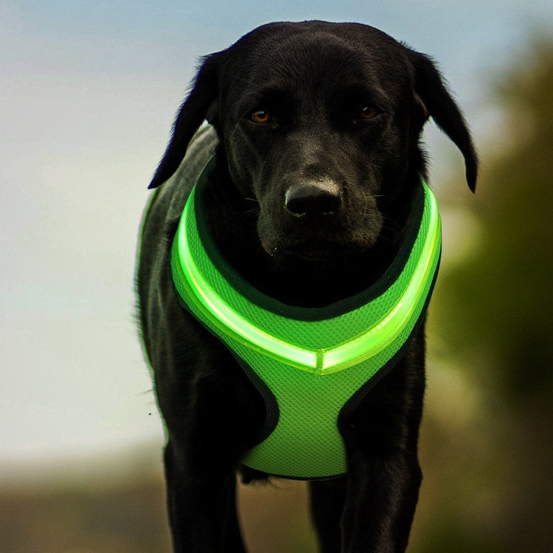 Reflective LED Dog Harness | USB Rechargeable Safety Vest