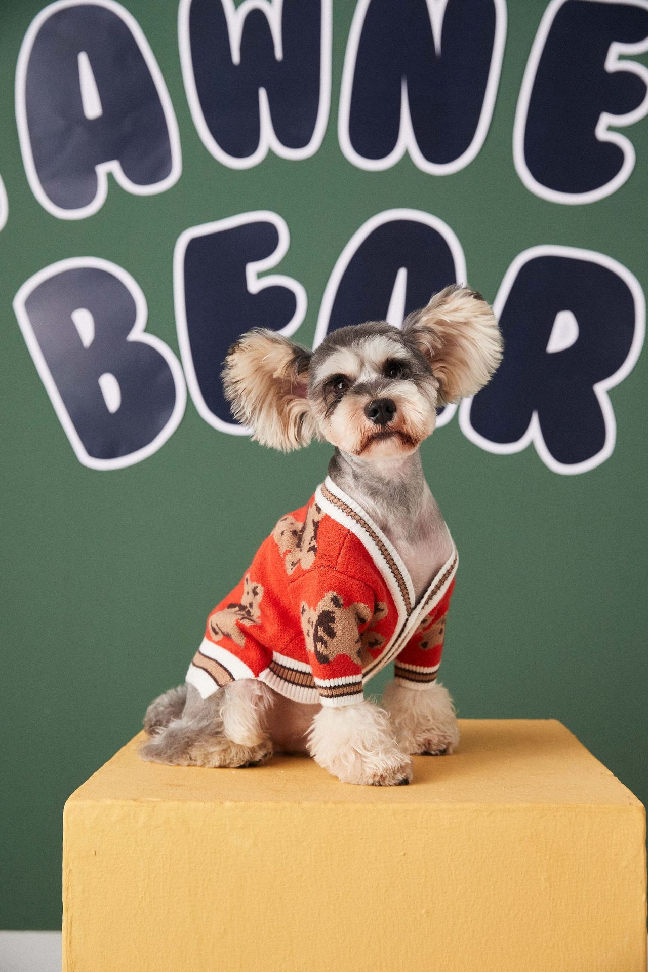 Bear print cardigan