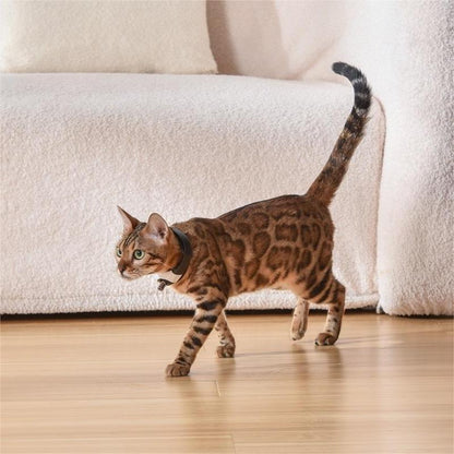 Pet Toy Laser Collar