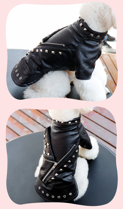 Dog Fashion Leather Coat - Korean Style Winter Wear Rivet Black