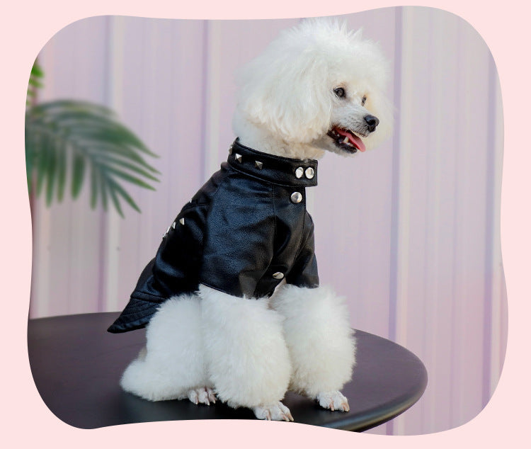 Dog Fashion Leather Coat - Korean Style Winter Wear Rivet Black
