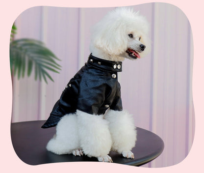 Dog Fashion Leather Coat - Korean Style Winter Wear Rivet Black